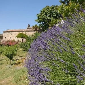 Domaine De Cousignac Bed & Breakfast