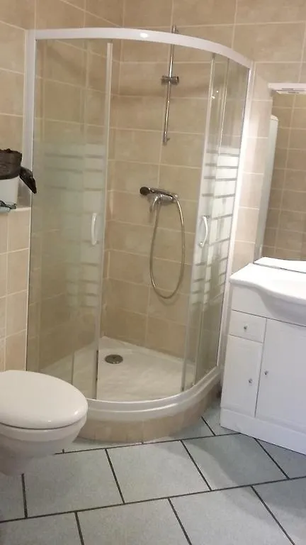 Auberge De L'Europe Saint-Quentin-Fallavier Hotel