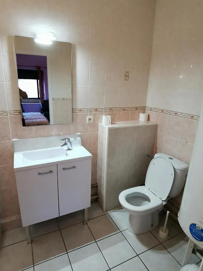 ** Hotel Auberge De L'Europe Saint-Quentin-Fallavier France